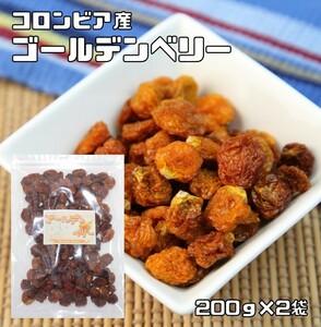 ゴールデンベリー 200ｇ×2袋 ドライフルーツ 世界美食探究 （メール便）無添加 インカベリー 食用ほおずき スーパーベリー スーパーフード