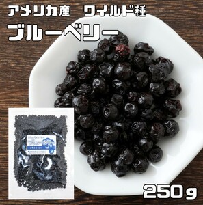 ブルーベリー 250g ドライフルーツ アメリカ産 世界美食探究 ワイルド種 乾燥 製菓材料 製パン材料 おつまみ おやつ 国内加工