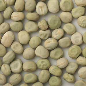青豌豆 250g 豆力 北海道産 （メール便）えんどう豆 あおえんどう 豆ごはん 乾燥豆 豆類 和風食材 生豆 国産 国内産の画像2