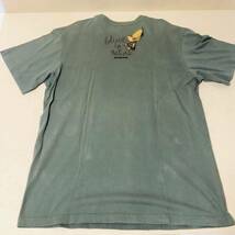 Patagonia ヴィンテージTシャツ パタゴニアキツツキきつつき啄木鳥Patagonia vintage T-shirt パタゴニアヴィンテージTシャツ USA製_画像5