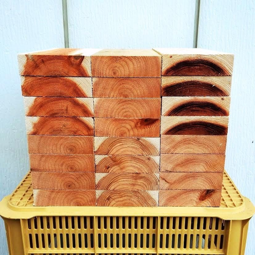 日本ミツバチ 重箱式 巣箱材 杉 24枚 蜜蜂 みつばち 巣箱 重箱