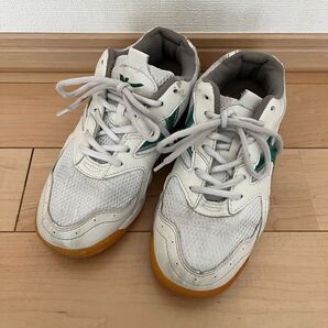 体育館シューズ 教育シューズ 23.5