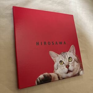 CD 広澤匡志- HIROSAWA - ミニアルバム インディーズ盤 広澤タダシ