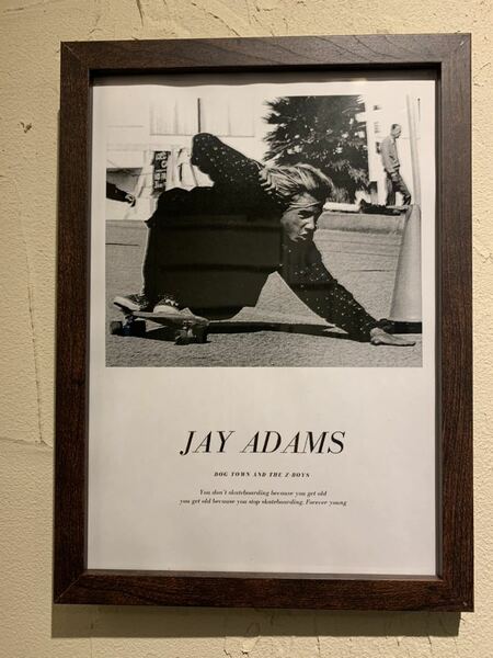 DOGTOWN ジェイアダムス JAYADAMS B5 額付き 送料込 スケボー