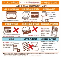 バリバス VARIVAS アバニ ジギング10×10 マックスパワーPE X8 5号 500m_画像5