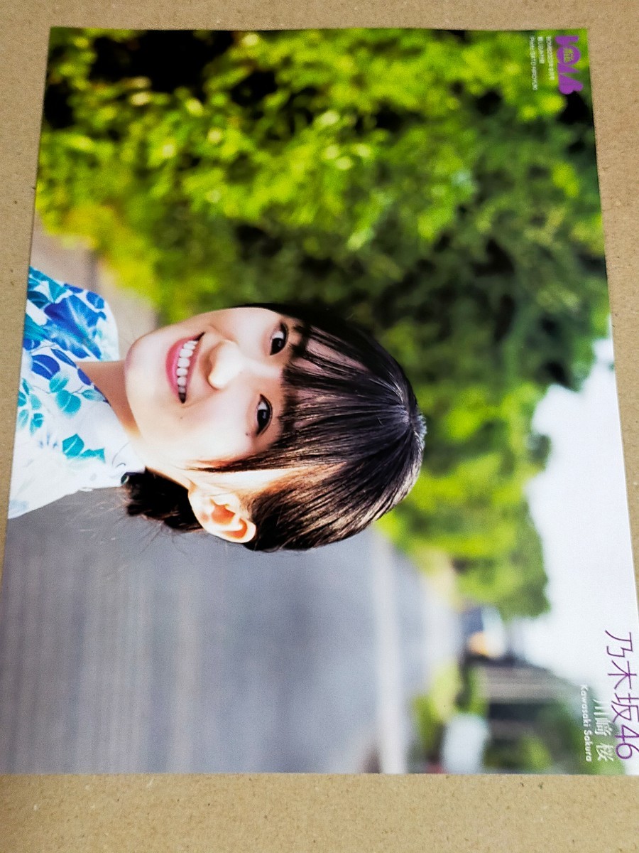 ヤフオク! -「桜」(その他) の落札相場・落札価格(6ページ目)
