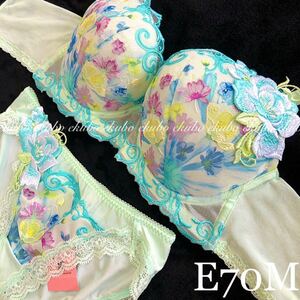 ★ワコールルジェ97G 【お花のじゅうたん】ハッピーFitブラE70&ノーマルM 新品　ME