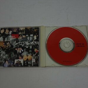 CD BUMP OF CHICKEN FLAME VEIN TFCC-86163の画像4