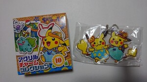 ポケモン　アクリルチャーム　コレクション　ピカチュウ　メス　オス　サマーライフ　キーホルダー　ポケットモンスター