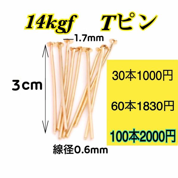 【100本 3cm】14kgf（フィルド）Tピン　ハンドメイドピアスやネックレス作りに