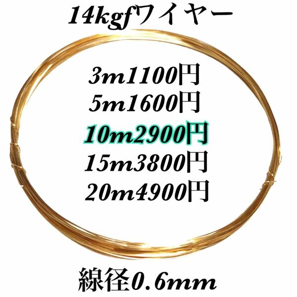 【10m】線径0.6mm 14kgf ソフトワイヤー　ハンドメイドアクセサリー作り等に　大量まとめ売り　激安