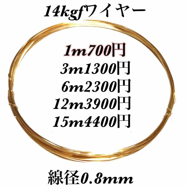 【1m】線径0.8mm 14kgf ソフトワイヤー　ハンドメイドアクセサリー作り等に　大量まとめ売り　激安