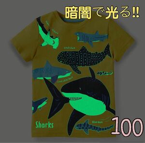 光る Tシャツ 水族館 キッズ 100 男の子 長袖 夜光 紺 シャーク 魚