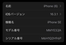 iphone SE 64G 第3世代 レッド SIMフリー_画像6