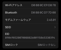 iphone SE 64G 第3世代 レッド SIMフリー_画像7
