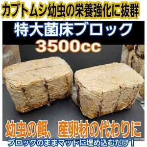 クワガタの産卵床に！　キクラゲ菌床【2ブロック】　カブトムシ幼虫の栄養強化にも抜群！マットに埋めるだけで幼虫がモリモリ食べます