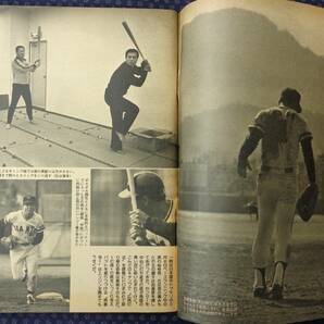 【 週刊ベースボール特大号 プロ野球選手写真名鑑 1978年～1983年 計6冊セット 】王貞治,山田久志,掛布雅之,張本勲,江川卓の画像3