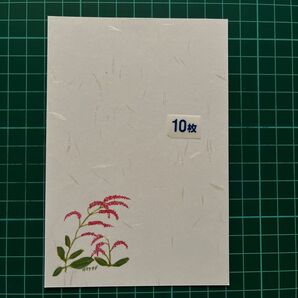 絵はがき オオケダテ 10枚 (157) 暑中お見舞い、残暑見舞い等にお使いください。