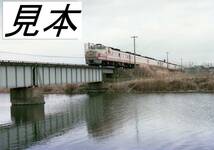 国鉄時代　キハ81 特急くろしお (関西本線、阪和線）カラー６枚 白黒4枚　計10枚 データをメール添付で。_画像1