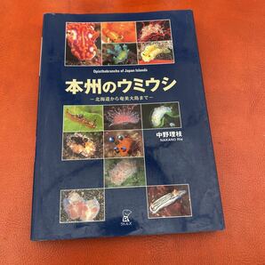 本州のウミウシ　北海道から奄美大島まで 中野理枝／編著