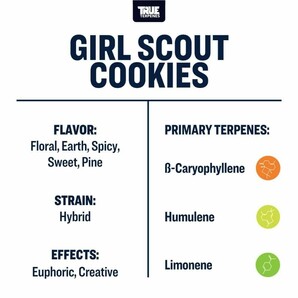 【1ml】テルペン GIRL SCOUT COOKIES CBD CBG CBN CRD リキッド アイソレート ワックスの画像2