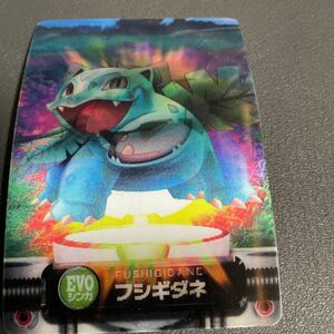 ポケモンカード　カードダス　EVO進化　レアチェンジカード　フシギダネ　フシギソウ　フシギバナ