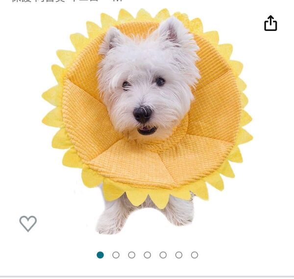 犬猫用エリザベスカラー Sサイズ 定価1600円