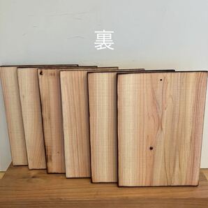 ビカクシダ板10㎜6枚【檜板の画像3