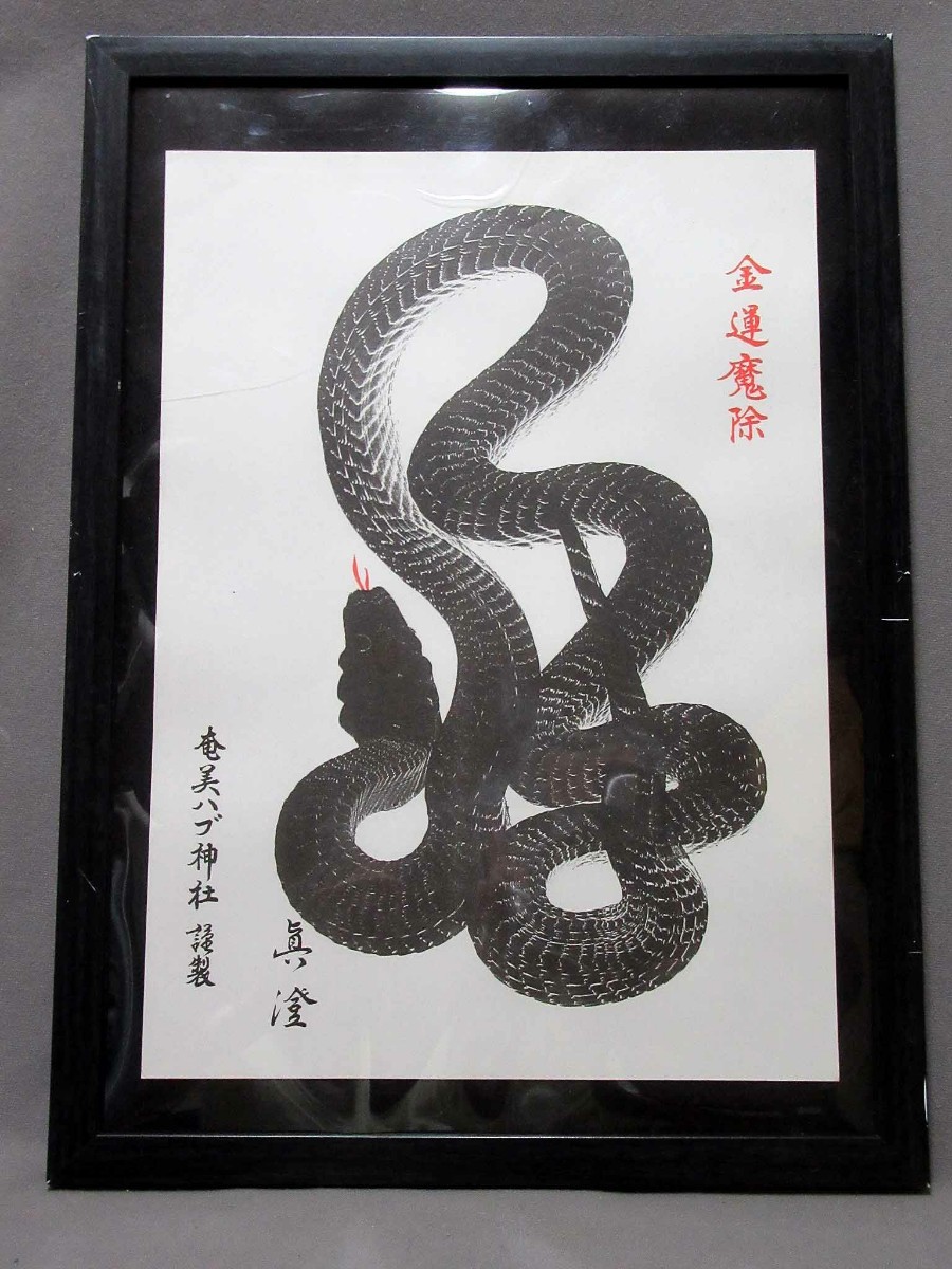 Amulet plaque (replica): Fortune-telling talisman Amami Habu Shrine (size: 324mm x 445mm) / 230706★, Artwork, Painting, Ink painting