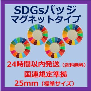 SDGsカラーホイールバッジ　マグネットタイプ 4個セット