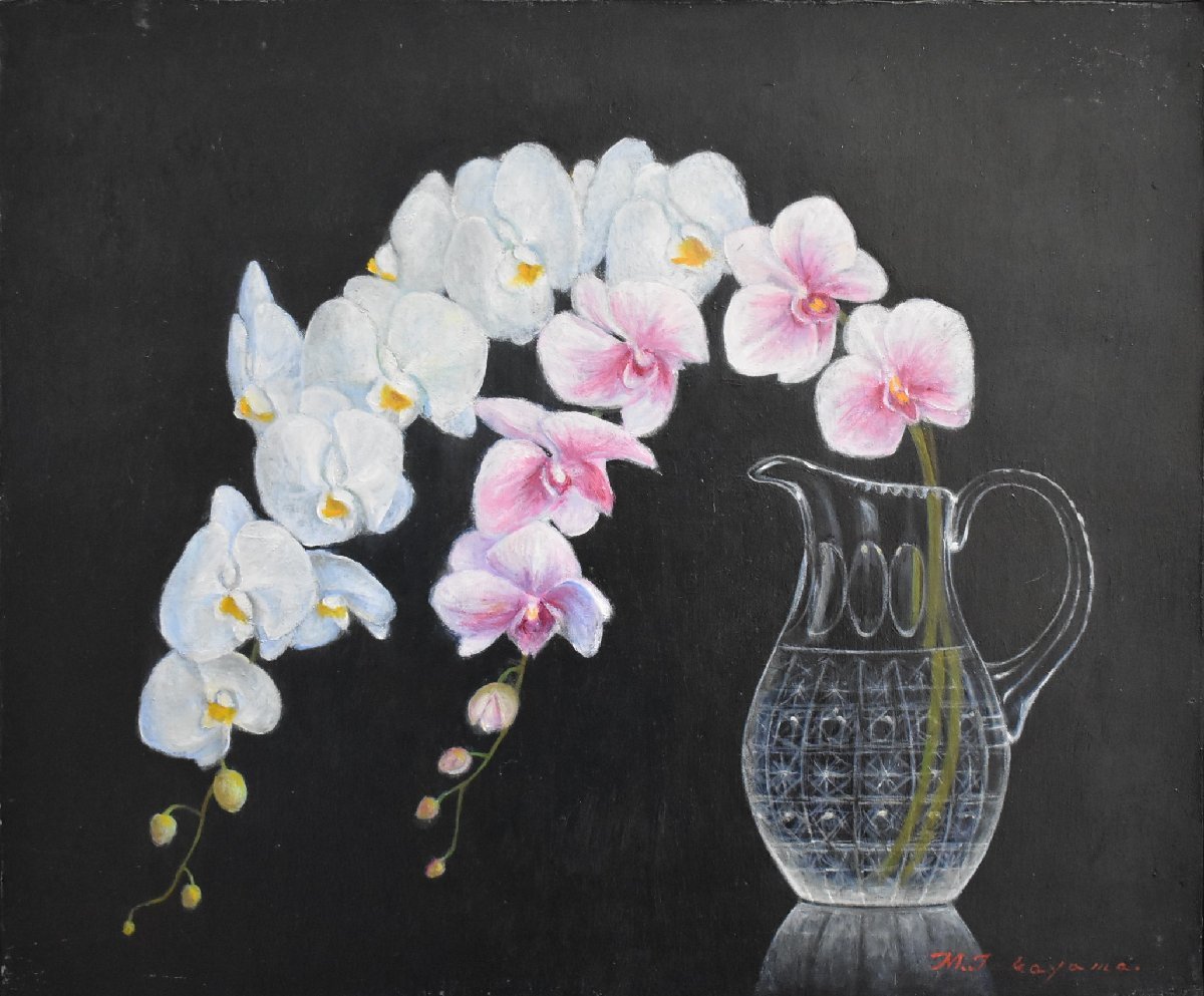 This painting is carefully done by members of the Nika Art Society and will impress anyone who sees it. It's a wonderful painting! New work by popular Western artist, Akira Takayama, No. 8 Phalaenopsis Orchid [Masami Gallery], Painting, Oil painting, Still life