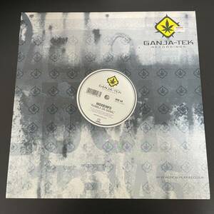 Insideinfo - Concentrate / Ganja-Tek Recordings GTEK003 ドラムンベース,ドラムン,Drum&Bass,Drum'n'Bass,Jungle,レコード