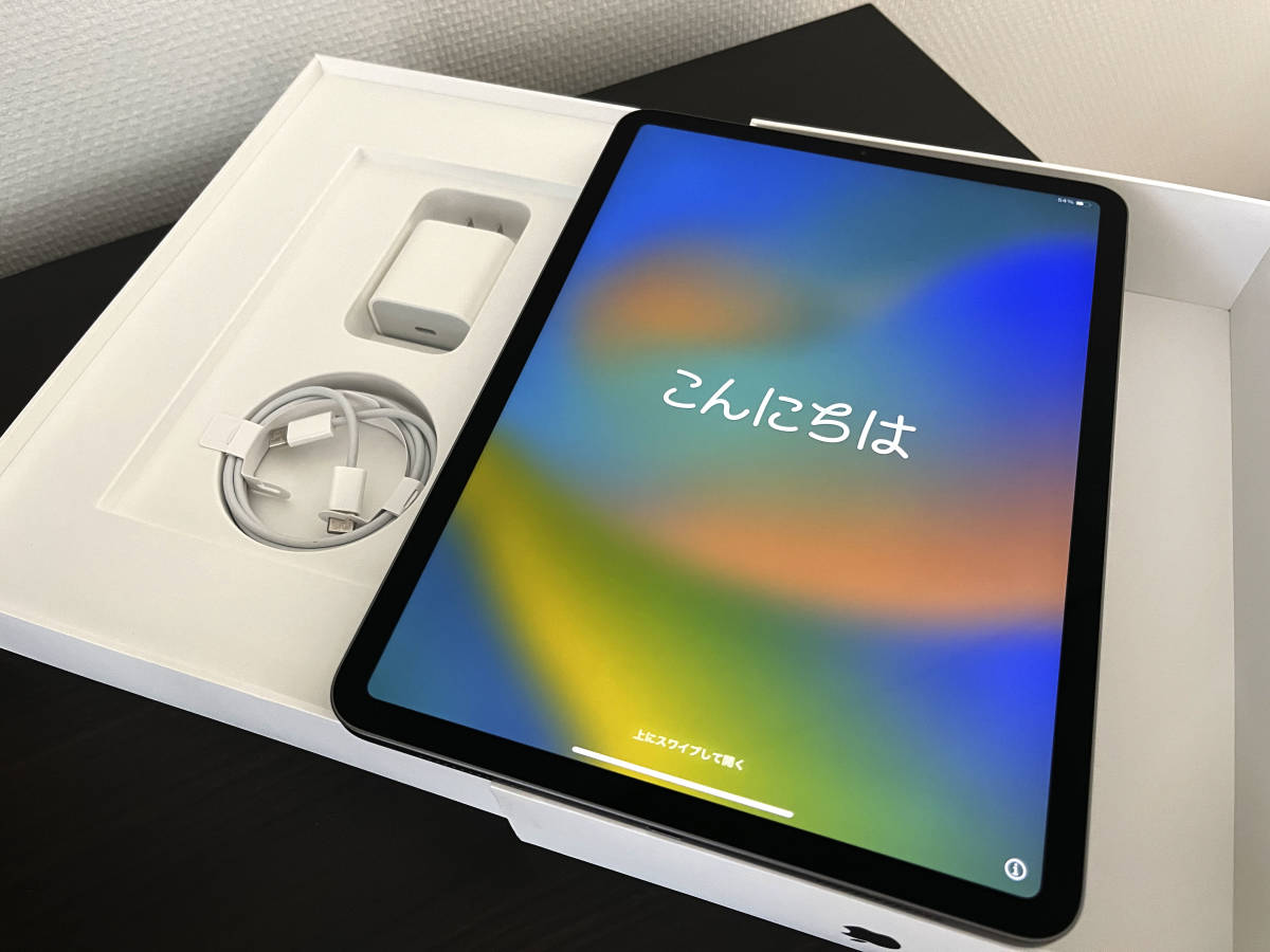 iPad Pro 11インチ 第1世代 Wi-Fiモデル 64GB MTXN2J/A スペースグレイ