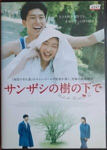 DVD Ｒ落／サンザシの樹の下で／チャン・イーモウ　チョウ・ドンユイ