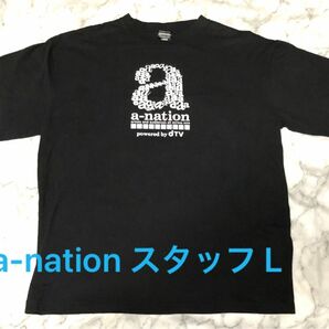 a-nation Tシャツ 2016 スタッフ Lサイズ 古着 レア品