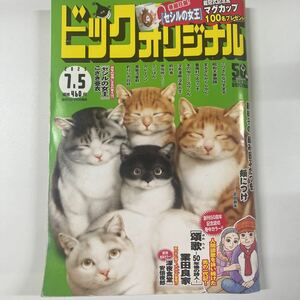 ビッグコミックオリジナル 2023年7月5日 13号 no.13