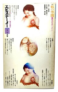 エピステーメー　1979年3＋4月号　特集・病の空間　医のエピステーメー1/朝日出版社