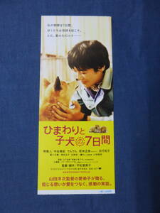 美品◆(653)邦画/映画半券「ひまわりと子犬の7日間」堺雅人　中谷美紀