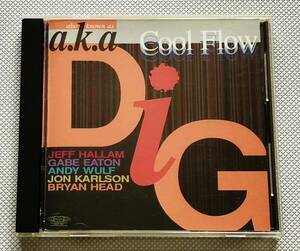 [CD] a.k.a DiG / Cool Flow　国内盤　帯付　クール・フロウ　エイ・ケー・エー ディグ