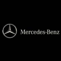 AMG メルセデスベンツ Mercedes Benz 薄型 カードケース カードホルダー 免許証 給油カード クレジットカード ブラック 黒 PETRONAS got_画像10