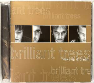 CD レア盤 入手困難 BRILLIANT TREES Wake UP & Dream Dublin Ireland ブリリアントツリーズ ダブリン アイルランド