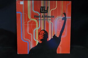 LP Ty / Wait A Minute (Original & Dwele Remix) レコード/希少 レア