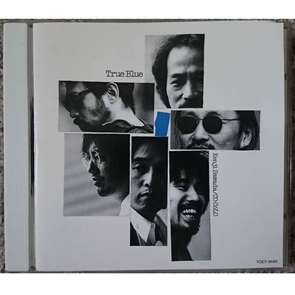 KF 沢田研二 TRUE BLUE