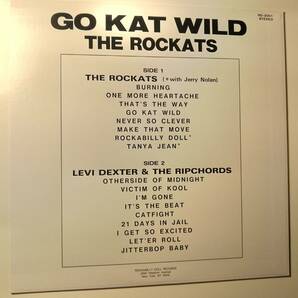 貴重コレクターズ盤!THE ROCKATS/GO KAT WILD LEVI DEXTER ROCKABILLY LP ロカッツ リーバイ ネオロカビリーの画像2