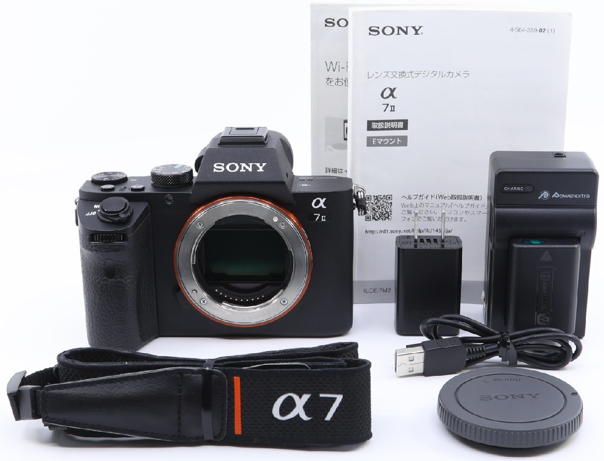 2023年最新】ヤフオク! -α7ii ボディの中古品・新品・未使用品一覧