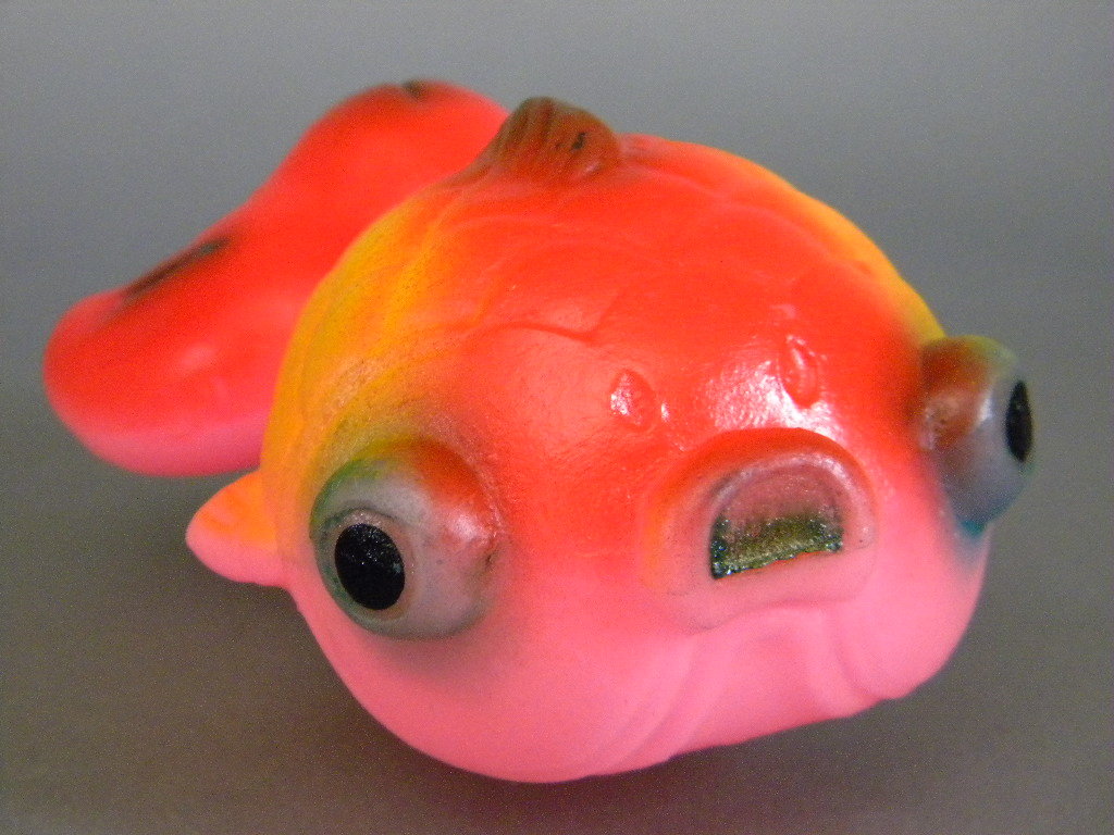 年最新ヤフオク! 金魚 菓子の中古品・新品・未使用品一覧