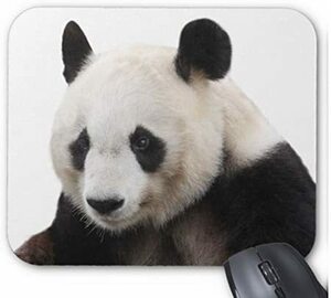 ja Ian to Panda. mouse pad 