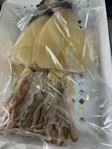 剣先スルメイカ 約３kg (１kg 1枚25～40g）するめいか 北海道産 絶品スルメイカ