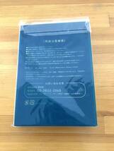 ルアーマガジンソルト 2011年5月号 特別 付録 非売品 ピンオンリール_画像2