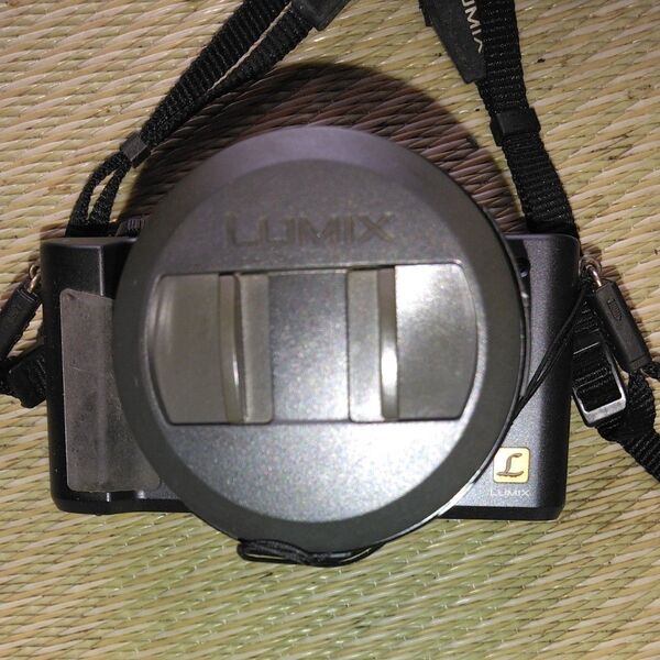 パナソニック LUMIX DMC-FZ1